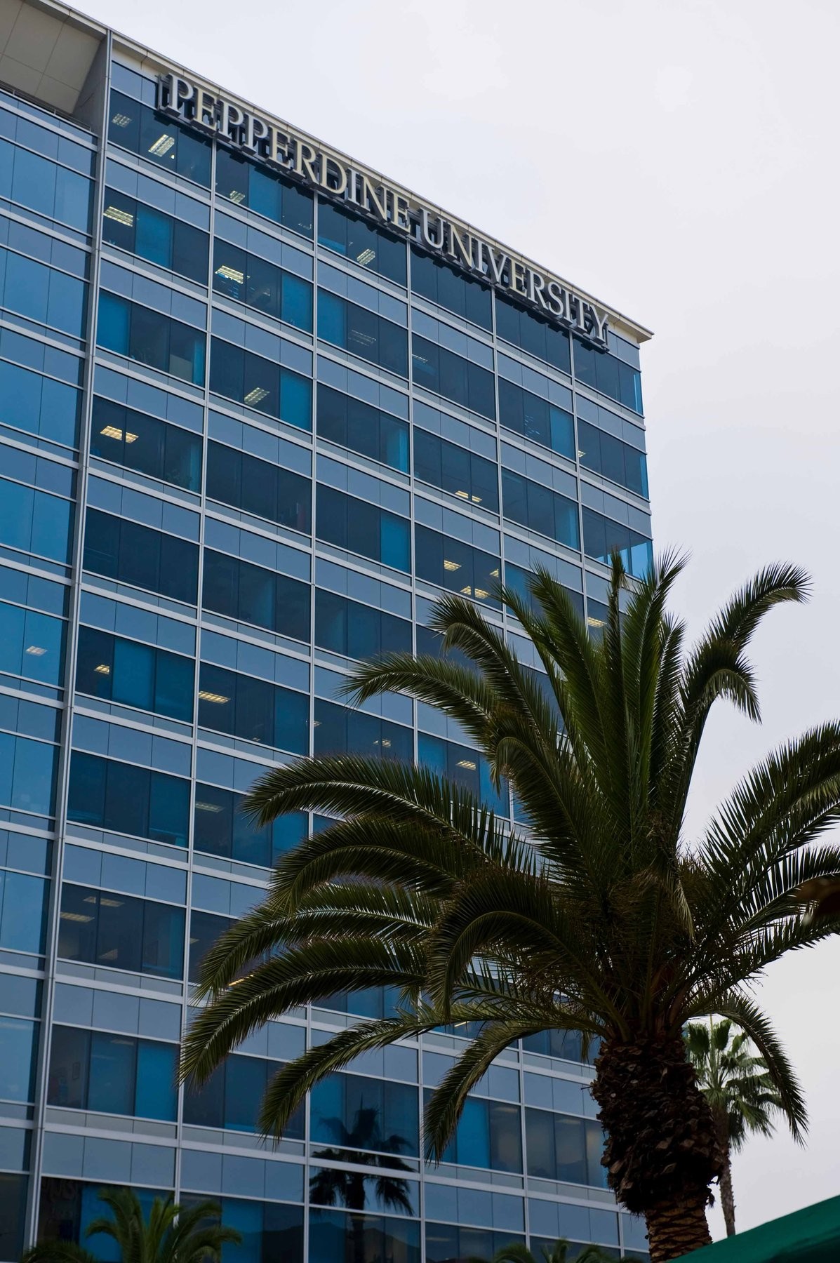 A Pepperdine University campus building with a palm tree in the foreground